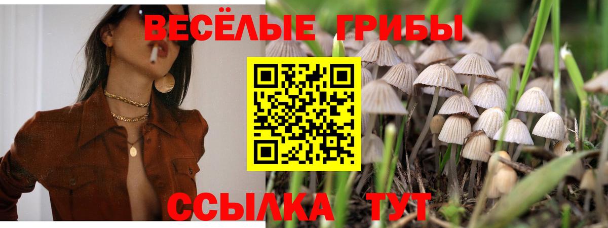 Псилоцибиновые грибы Psilocybe  Галлюциногенные грибы мицелий  Вход с VPN  Ртищево 
